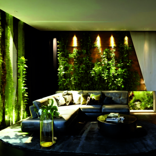 Экологичный минимализм: интеграция живых растений и натуральных материалов в современный интерьер