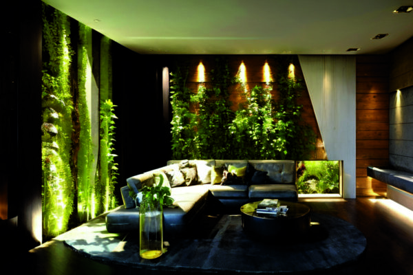 Экологичный минимализм: интеграция живых растений и натуральных материалов в современный интерьер