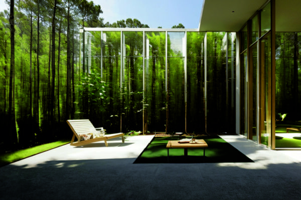 Интеграция биофильных элементов в минимализм: создаем гармонию с природой в интерьере