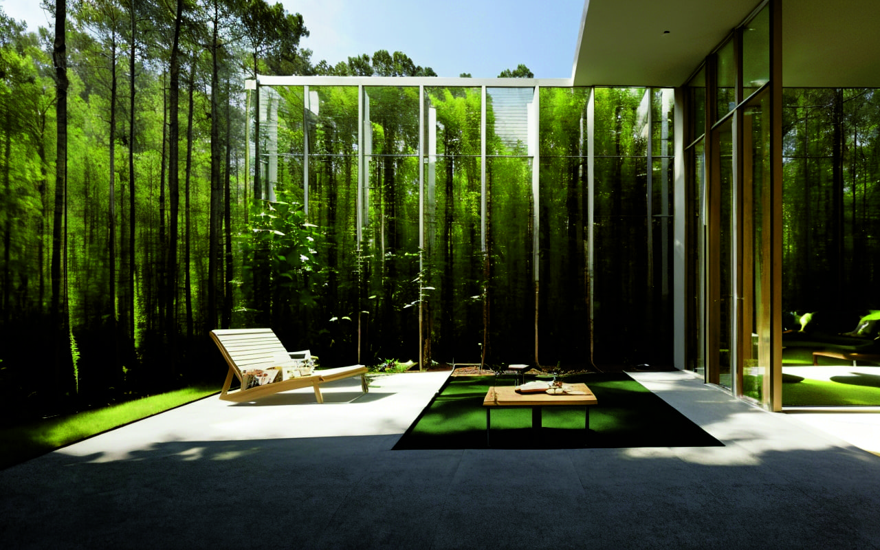 Интеграция биофильных элементов в минимализм: создаем гармонию с природой в интерьере