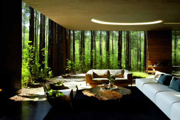 Экологический минимализм: интеграция живых растений и природных материалов в современные интерьеры