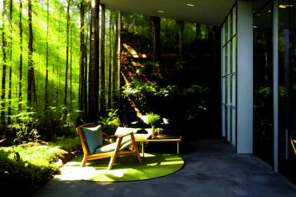 Использование биофильного дизайна для улучшения атмосферы в рабочем кабинете