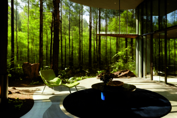 Биофильный дизайн: интеграция природы через технологии и устойчивые материалы в современных интерьерах