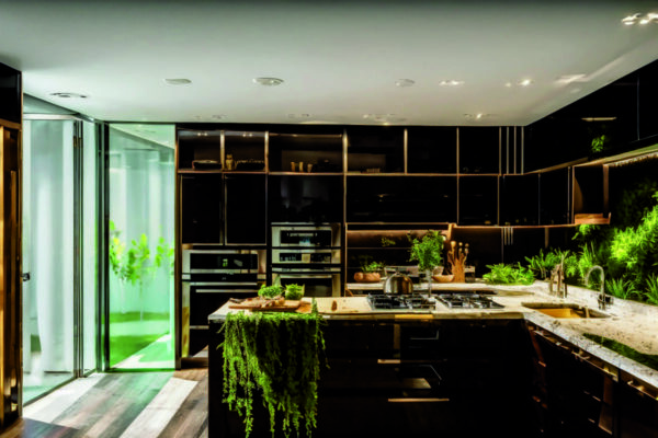 Интерьер для кухни: использование зелени и натуральных материалов для уюта и свежести