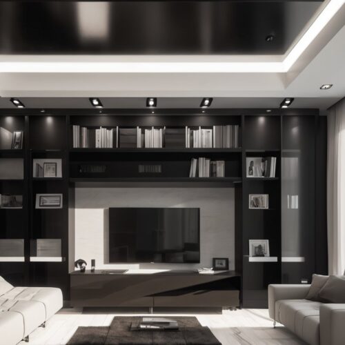 Многоуровневые потолочные модули для хранения вещей с пультом управления